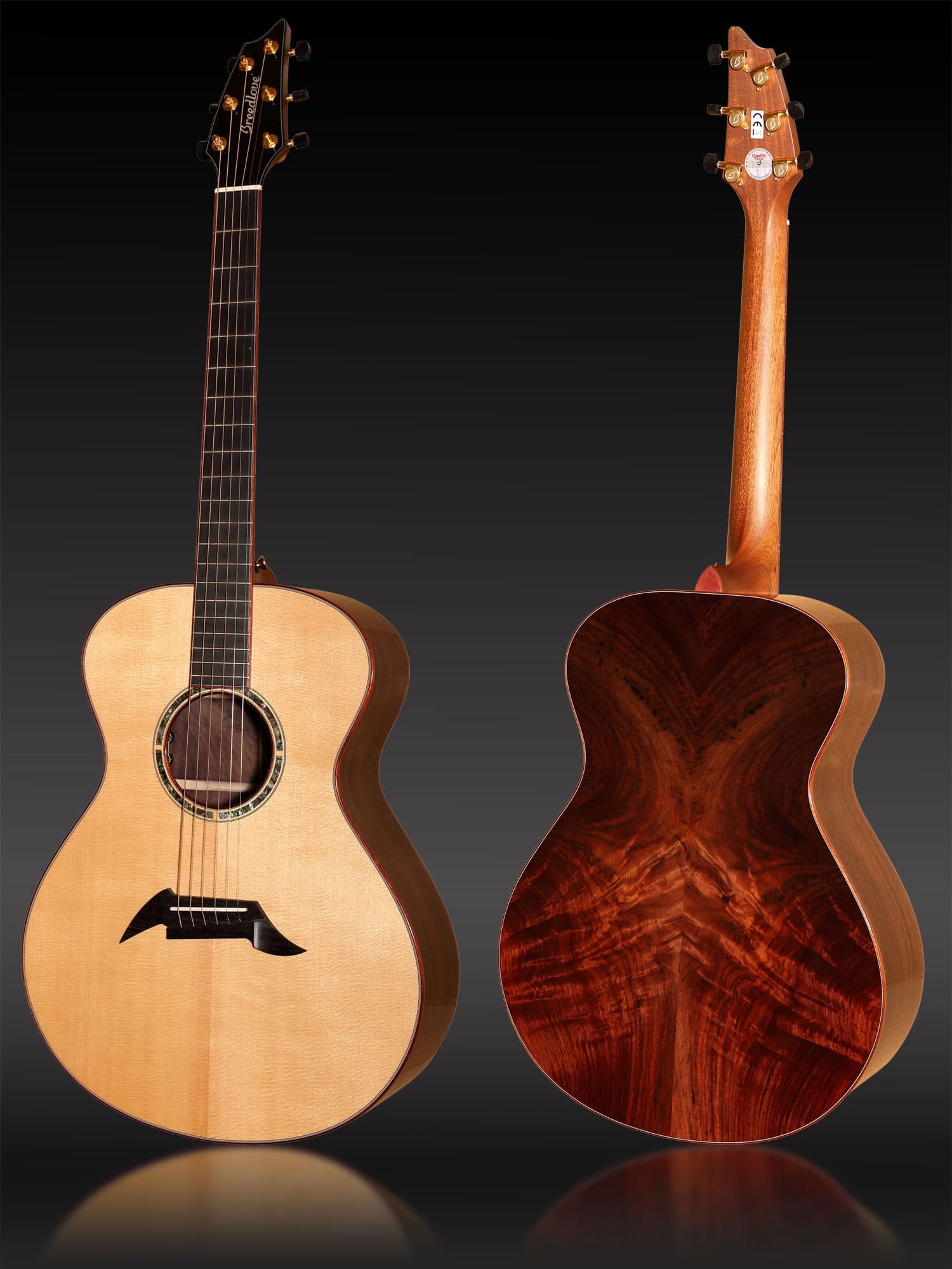 Breedlove Custom Concert Rosewood aus Sitkafichte und ostindischem Wurzelpalisander