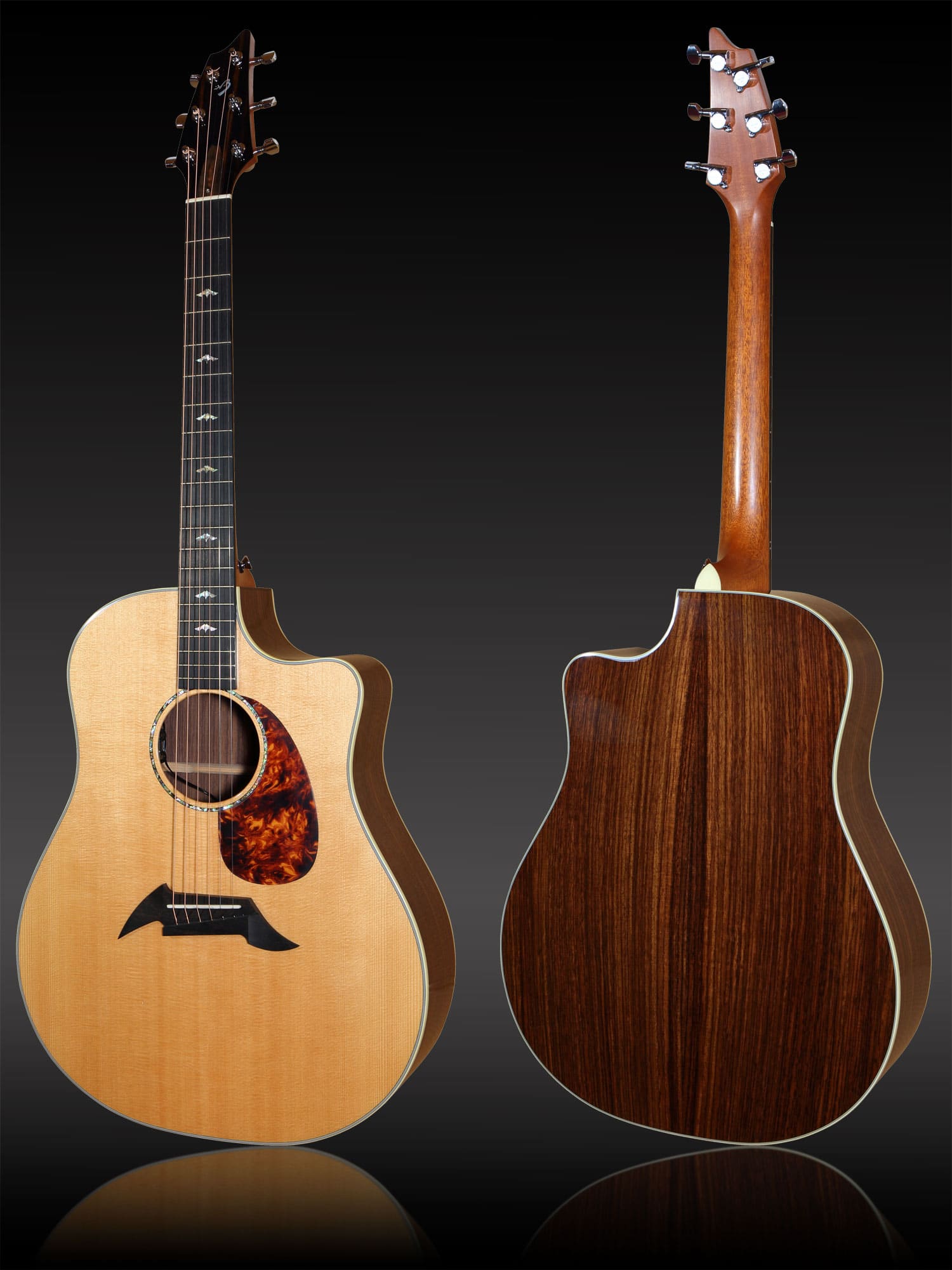 Breedlove Performance Focus D vollmassiv Sitkafichte / Palisander mit Tonabnehmer und Koffer