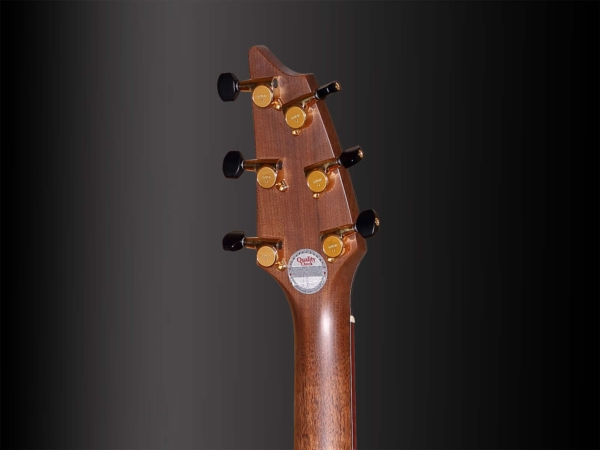 Breedlove Masterclass CM Classic