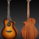 Breedlove Discovery Concert CE Sunburst mit massiver Fichtendecke