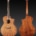 Breedlove Organic Wildwood Concerto