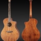 Breedlove Organic Wildwood Concerto