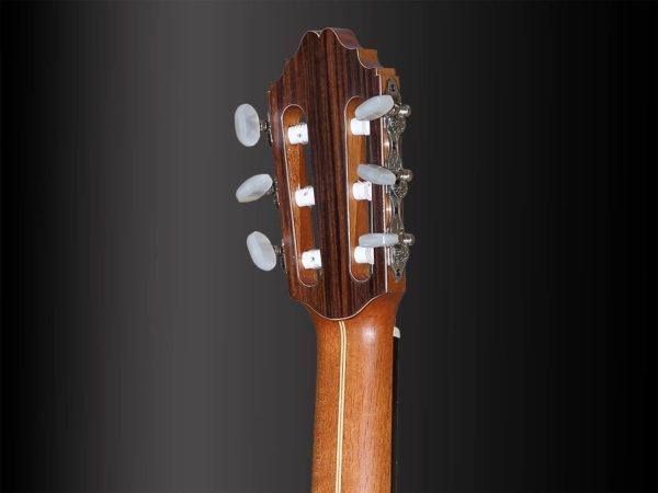 Roland Metzner Standard