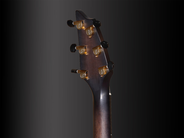 Breedlove Customshop Shallow Concert