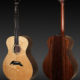 Breedlove Custom Concerto Bearclaw