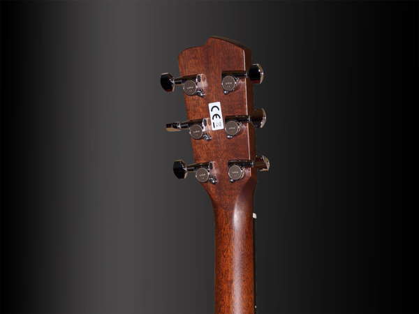 Breedlove Custom Concerto Bearclaw