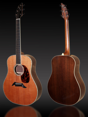 Breedlove_D20_Masterclass