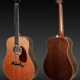 Breedlove_D20_Masterclass