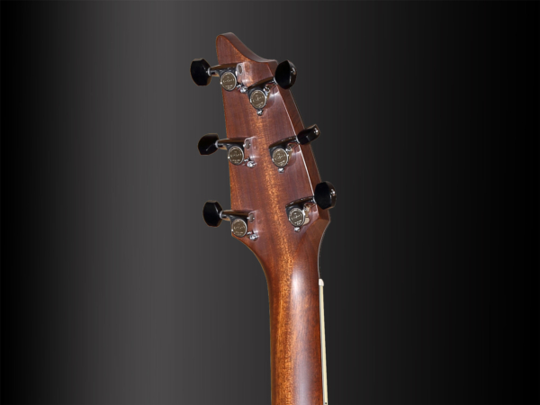 Breedlove D-20 Masterclass