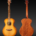 Breedlove Organic Signature Companion Copper