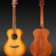 Breedlove Organic Signature Companion Copper