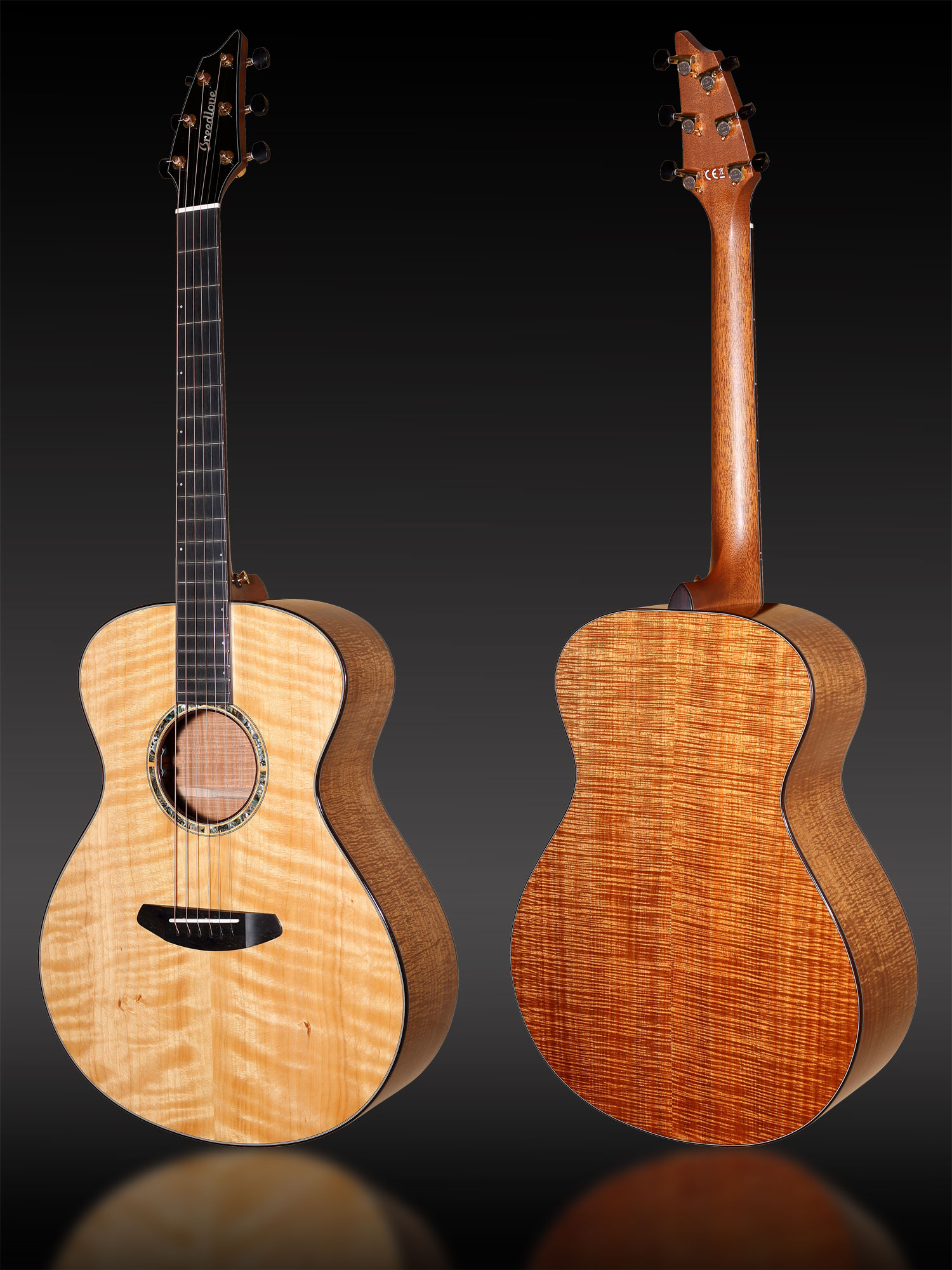Breedlove custom clearance