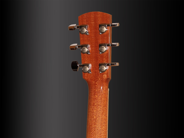 Larrivée LV-10MR