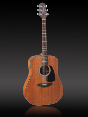 Takamine GD11MNS