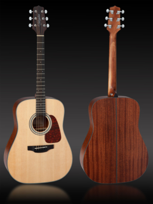 Takamine GD10NS2
