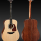 Takamine GD10NS2