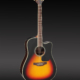 Takamine GD51CEBSB