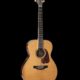 Takamine CP7MOTT