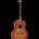Takamine TF77-PT