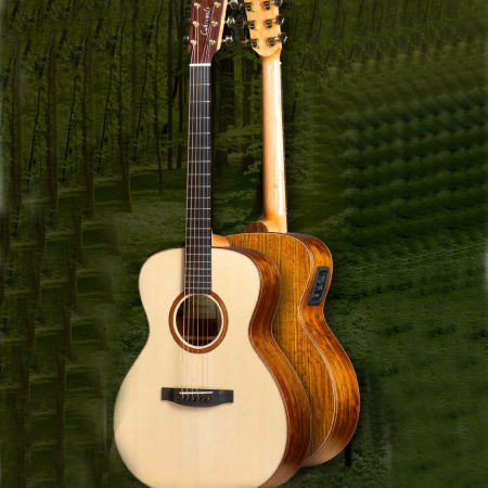 Lakewood M-18P Eigenart