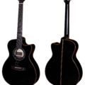 Lakewood_M31CP Custom Black