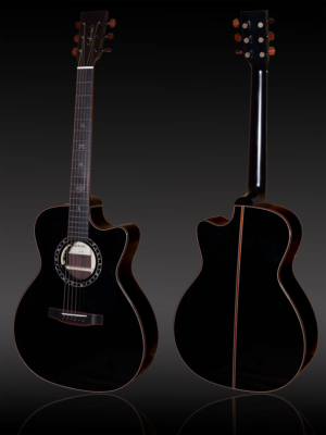 Lakewood M-31CP Custom Black