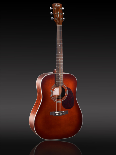 Cort Earth 70 BR